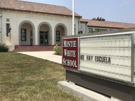 mintie white pvusd school