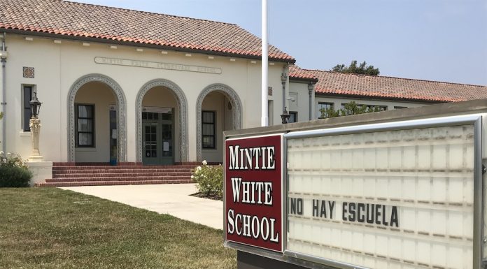 mintie white pvusd school