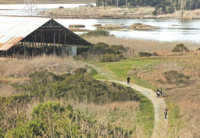 Elkhorn Slough restoration grant