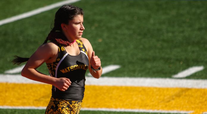 Cross Country: Back on track