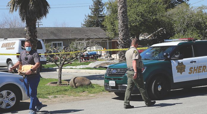 delaney avenue watsonville homicide
