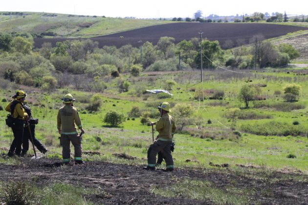 watsonville plane crash pajaro valley high school