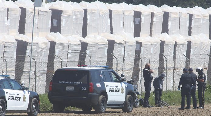 Photo: Theft suspect nabbed by Watsonville police watsonville police