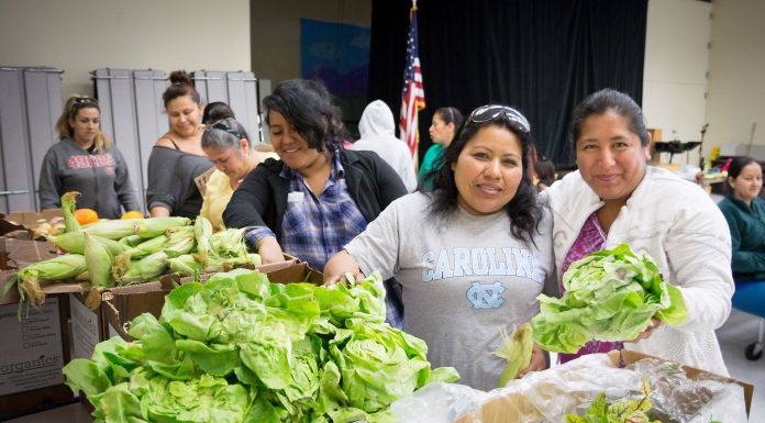 second harvest food bank