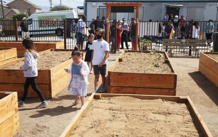 Carey-Davis Community Garden