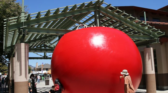 redball project