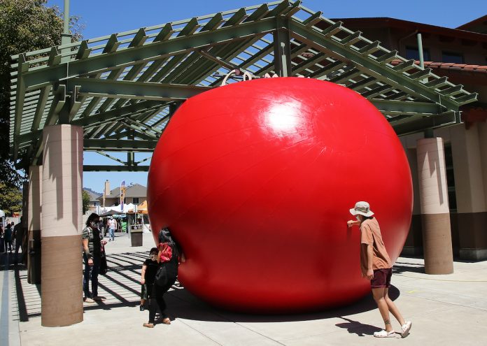 redball project