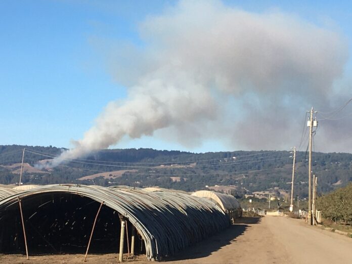 Watsonville fire