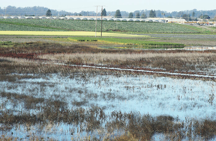 watsonville smell