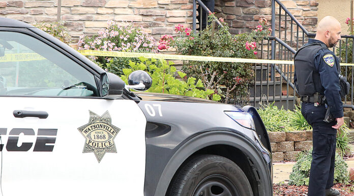 watsonville murder-suicide