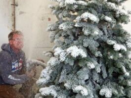 Christmas tree sellers optimistic despite national shortage