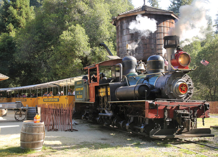 roaring camp rtc