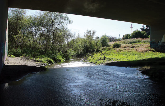 Pajaro River levee