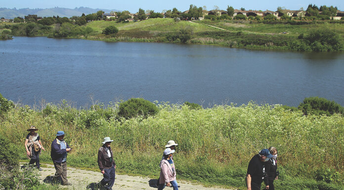 Watsonville nature walks