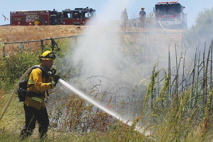 watsonville slough brush fire