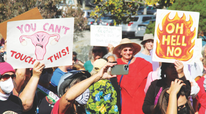 roe v wade santa cruz county