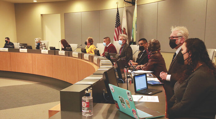 Watsonville city council