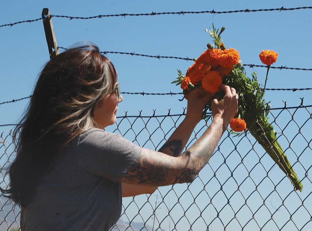 watsonville municipal airport crash investigation beth stocking