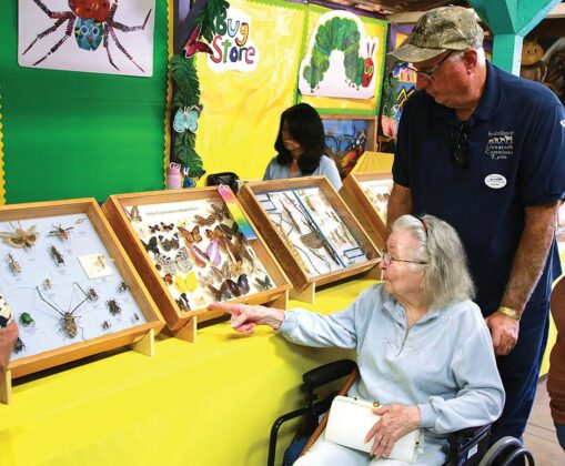 santa cruz county fair pat hurly bug barn