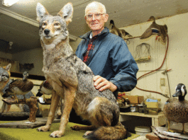 A life, preserved: In memory of famed local taxidermist Richard Gurnee