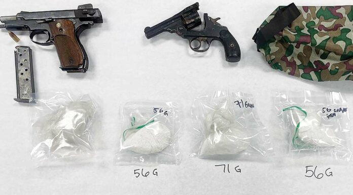 watsonville police guns drugs