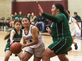 Sharks aim to rebound after dropping PCAL opener | Girls basketball