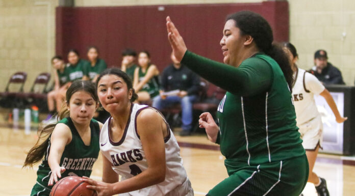 Sharks aim to rebound after dropping PCAL opener | Girls basketball