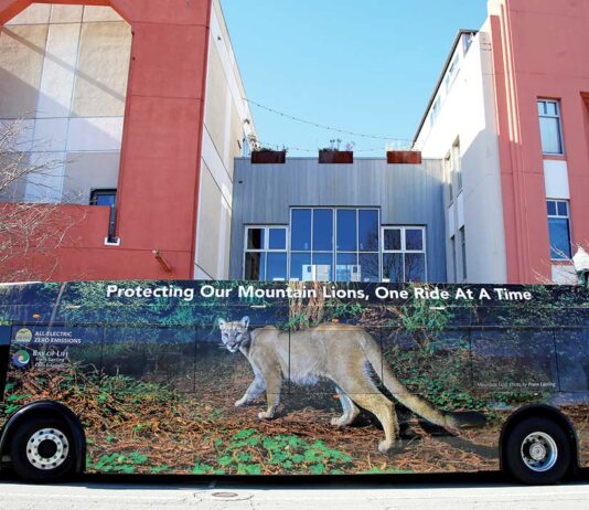 metro bus mural santa cruz