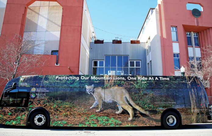 metro bus mural santa cruz