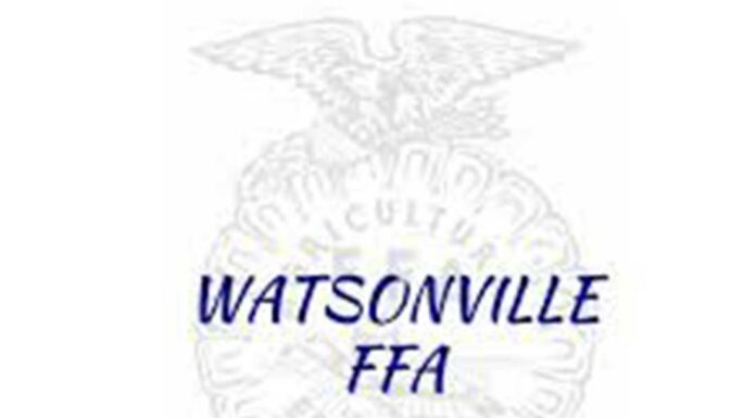 watsonville ffa