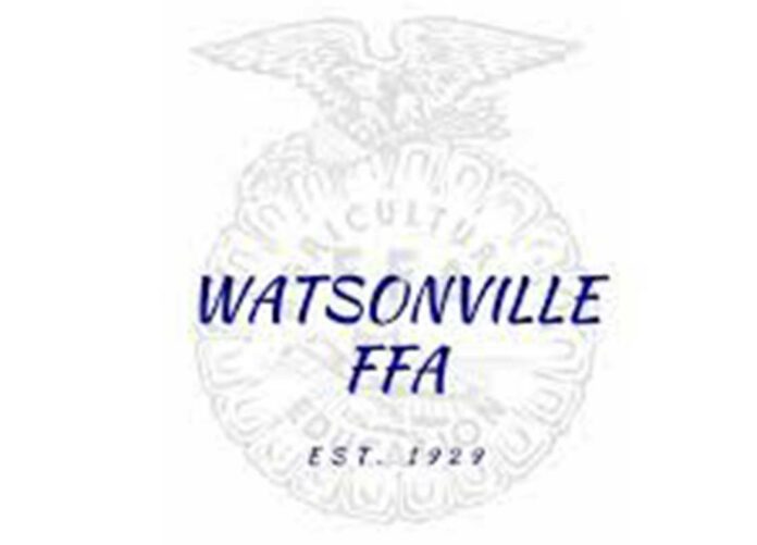 watsonville ffa