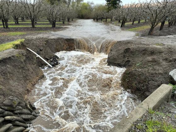 freedom boulevard orchard flooding