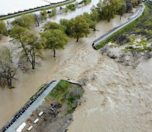 pajaro river levee breach flood