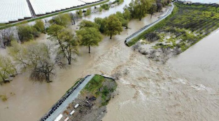 pajaro river levee breach flood