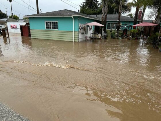 dogwood drive flooding