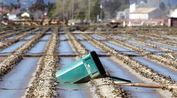 pajaro flooded agricultural field levee