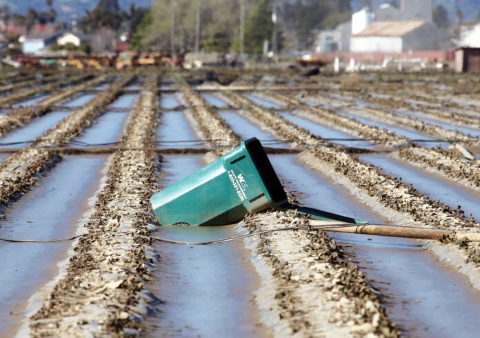 pajaro flooded agricultural field levee