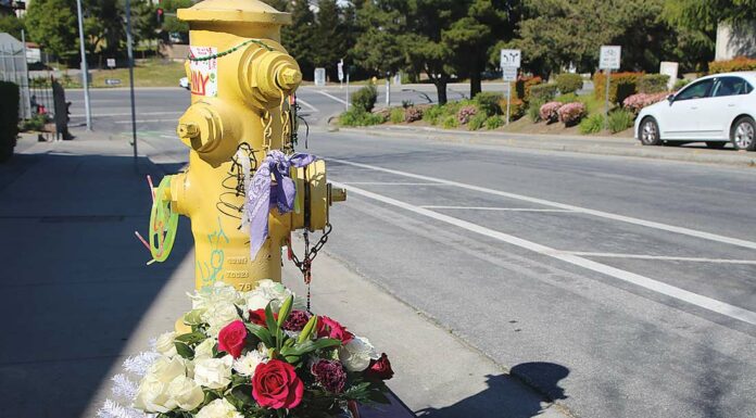 watsonville homicide altar rodriguez main street