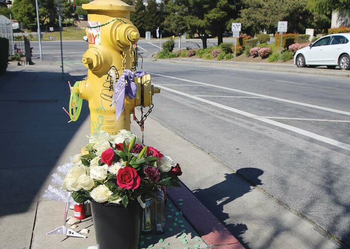 watsonville homicide altar rodriguez main street