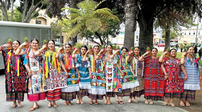 cinco de mayo watsonville plaza