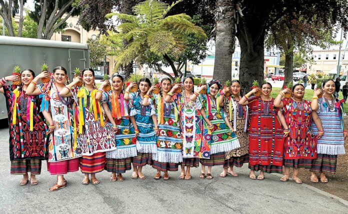 cinco de mayo watsonville plaza