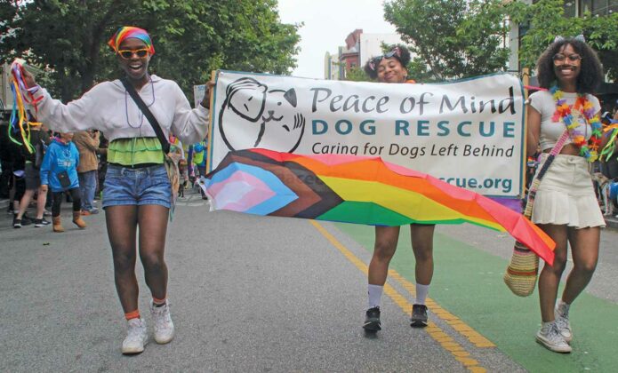 santa cruz pride parade