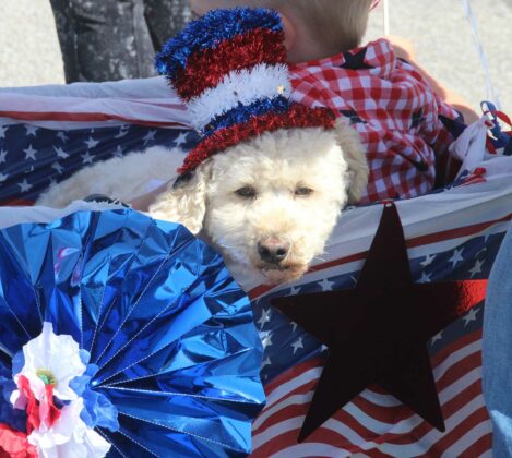 aptos world's shortest parade fourth of july