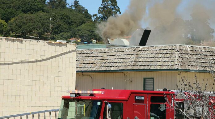 las lomas mushroom farm fire