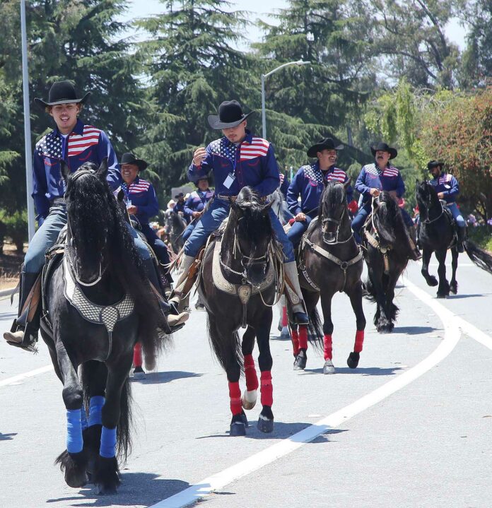 spirit of watsonville fourth of july parade horses