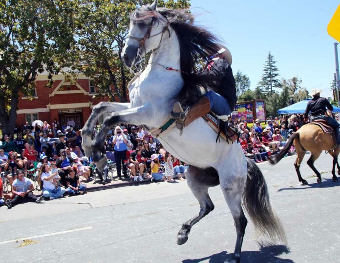 spirit of watsonville fourth of july parade