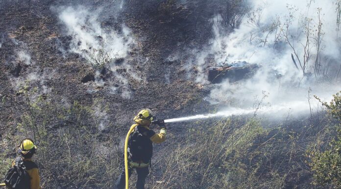 ohlone parkway fire