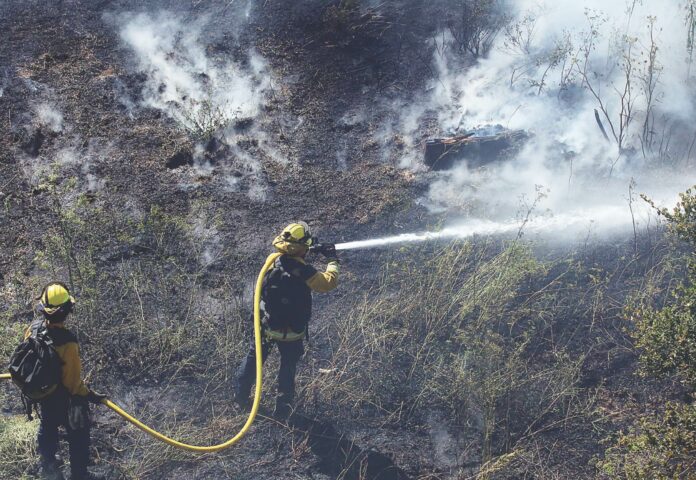 ohlone parkway fire