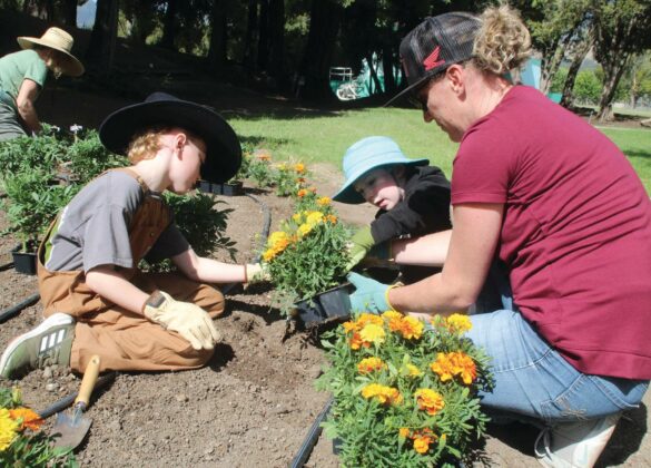 Santa Cruz County fairgrounds flower planting