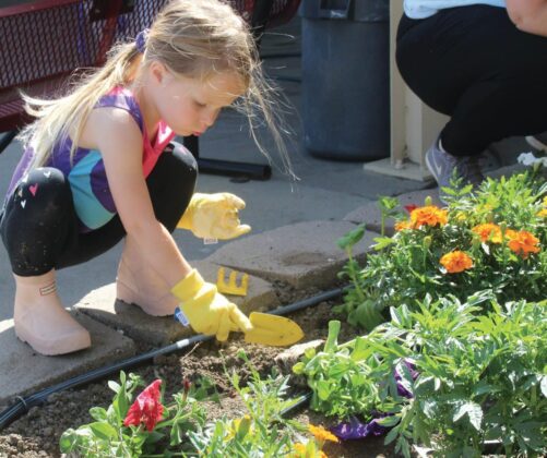 Santa Cruz County fairgrounds flower planting